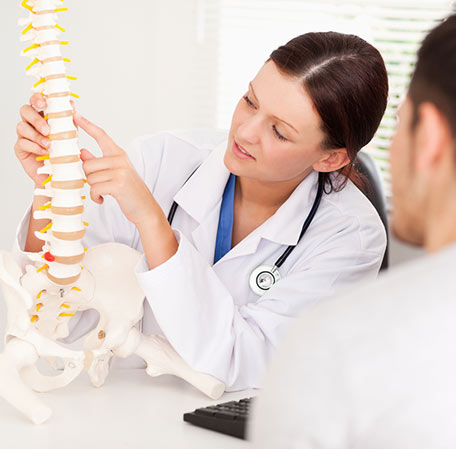 Chiropractor referring to model spine
